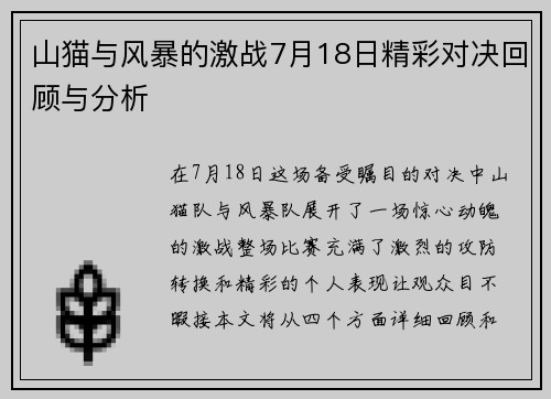 山猫与风暴的激战7月18日精彩对决回顾与分析